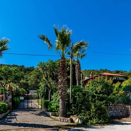Palm Tree Hisaronu Daily Weekly 빌라 *
