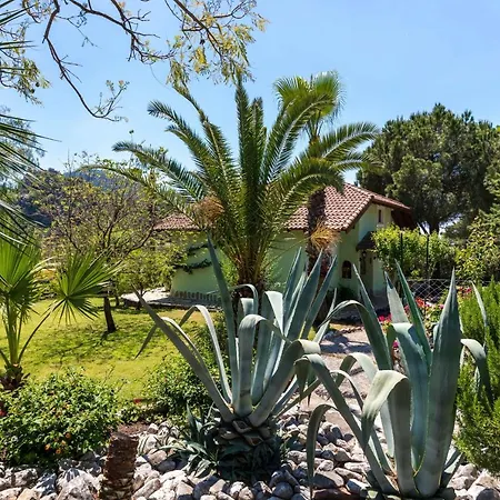 빌라 Palm Tree Hisaronu Daily Weekly